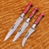 3-Piece Kitchen Cutting Knives Set