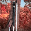 Aragorn Strider Ranger Sword