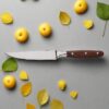 Steak Knife